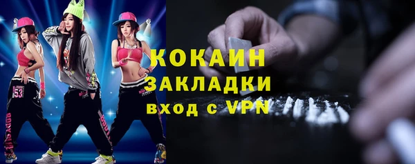 индика Сафоново