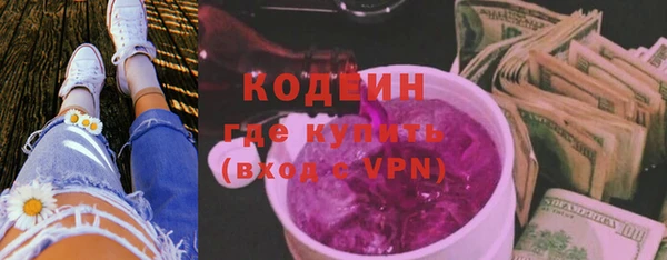 индика Сафоново